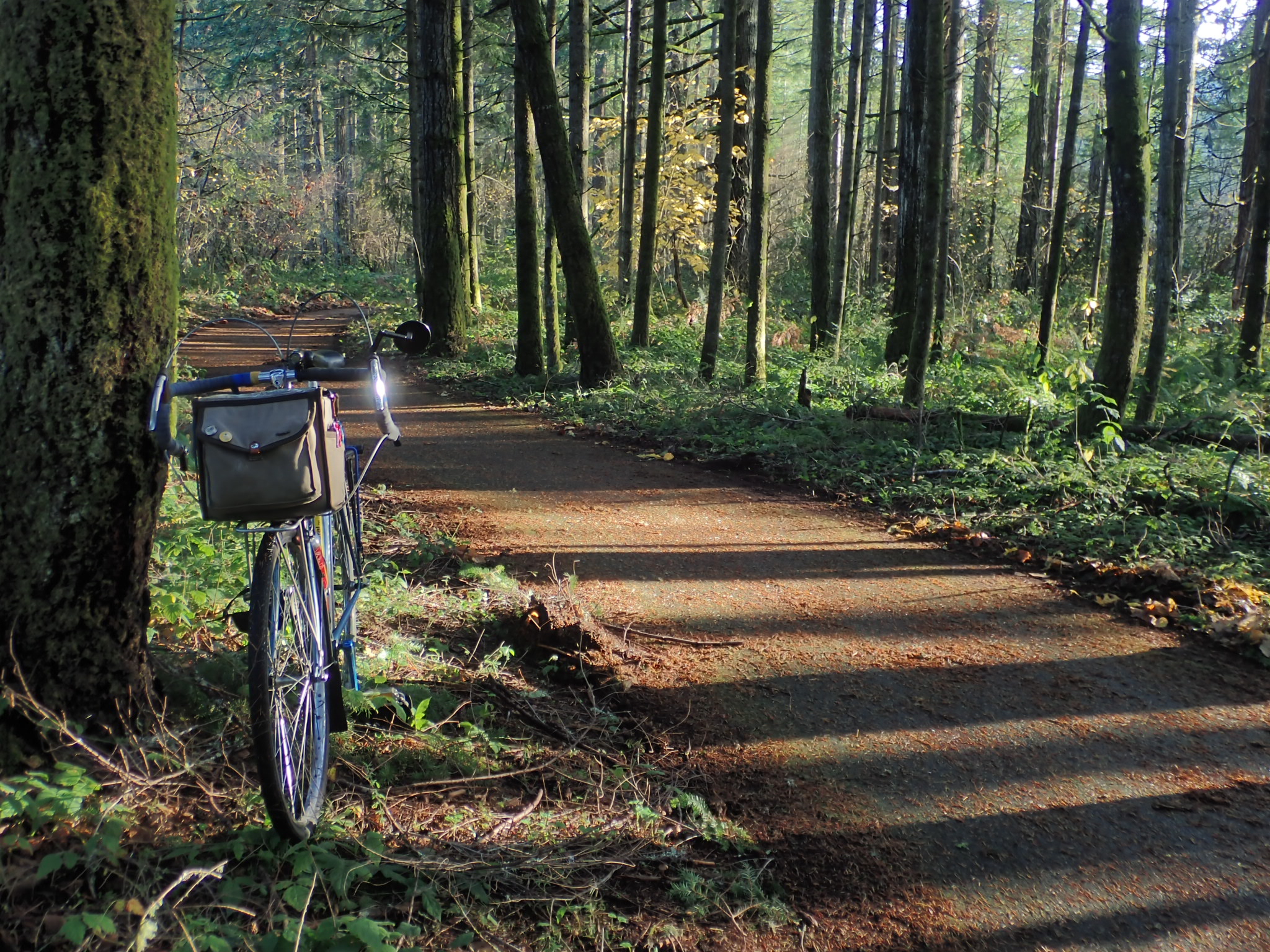two cyclers looking out