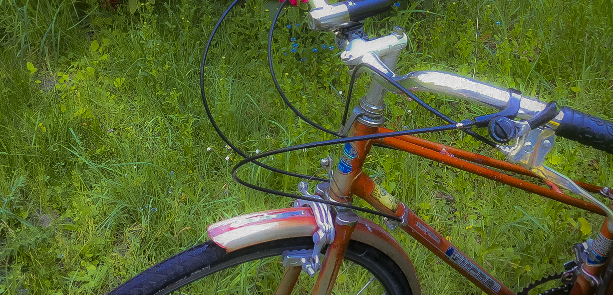 two cyclers looking out